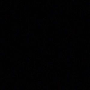 Meet your Posher, Lizzie